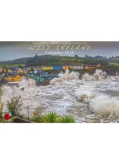 Wild Ireland 2025 Calendar